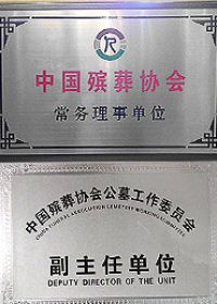 资质荣誉