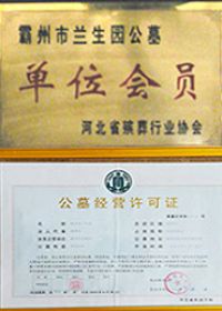 资质荣誉